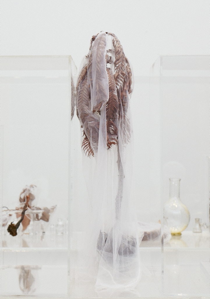 The memory of nature, 2010 by Janet Laurence :: The Collection :: Art ...