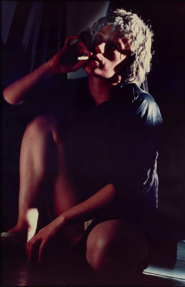 Cindy Sherman
Untitled #113, 1982
c-print
114.9 by 76.2 cm.

Art Gallery of New South Wales, Sydney (acquired with the Mervyn Horton Bequest Fund in 1986)
National Gallery of Australia, Canberra (acquired in 1983)