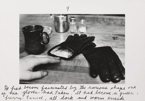 An image of The pleasures of the glove by Duane Michals