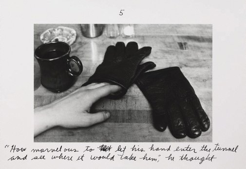 An image of The pleasures of the glove by Duane Michals