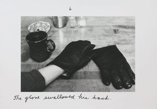 An image of The pleasures of the glove by Duane Michals