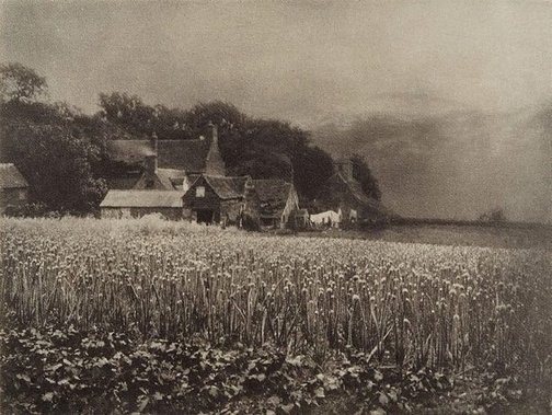 An image of The onion field 1890, from Camera Work, no 8, April 1907 by George Davison