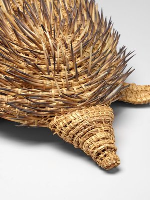Alternate image of Echidna by Yvonne Koolmatrie