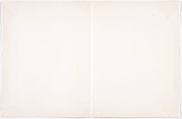 Alternate image of Jazz by Henri Matisse