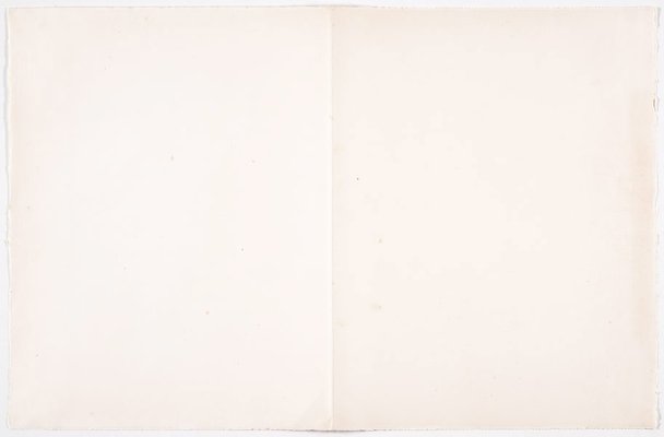Alternate image of Jazz by Henri Matisse