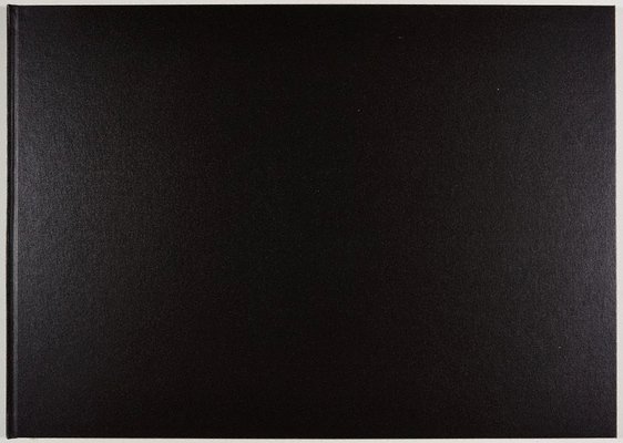 Alternate image of The White Album by Bruce Searle