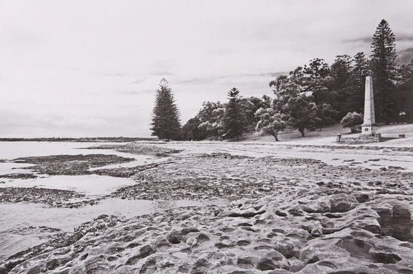 Alternate image of The White Album by Bruce Searle