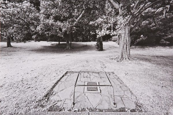 Alternate image of The White Album by Bruce Searle