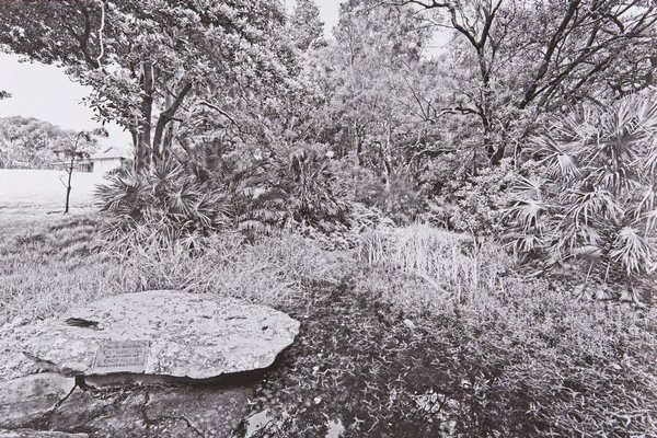 Alternate image of The White Album by Bruce Searle