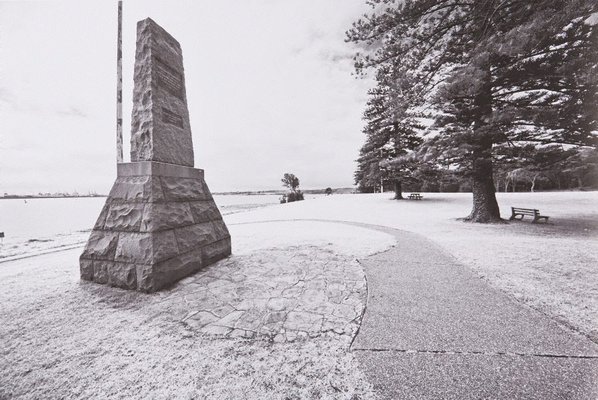 Alternate image of The White Album by Bruce Searle