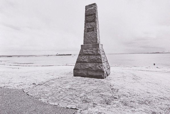 Alternate image of The White Album by Bruce Searle