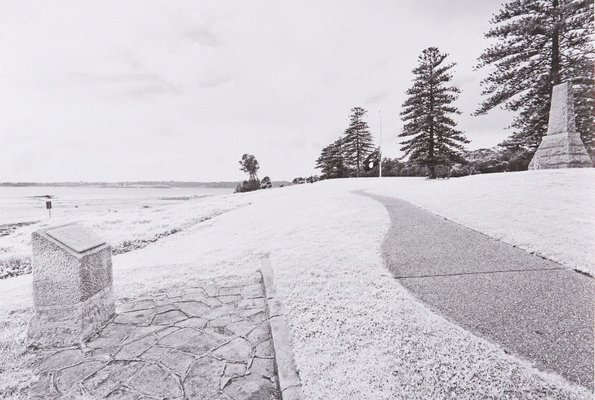 Alternate image of The White Album by Bruce Searle