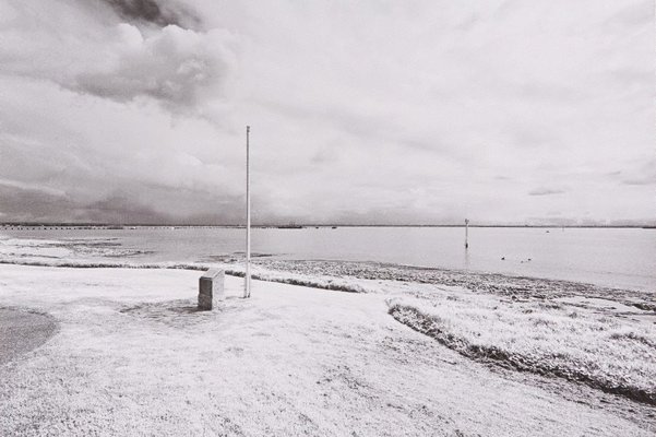 Alternate image of The White Album by Bruce Searle