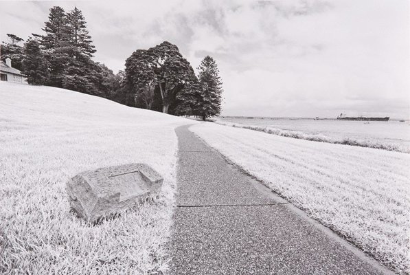 Alternate image of The White Album by Bruce Searle