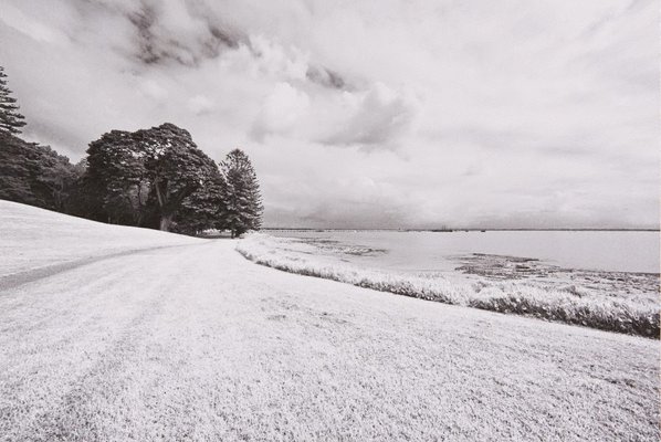 Alternate image of The White Album by Bruce Searle
