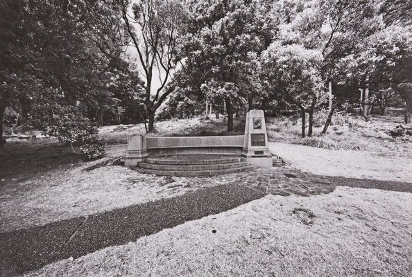 Alternate image of The White Album by Bruce Searle