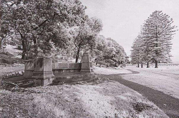 Alternate image of The White Album by Bruce Searle