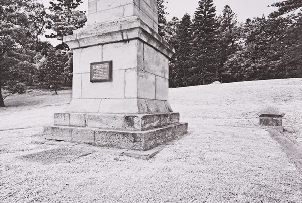 Alternate image of The White Album by Bruce Searle