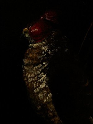 Alternate image of Portrait of a gentleman with a falcon by Nicolò dell'Abate