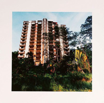 Alternate image of Standing still by Simryn Gill