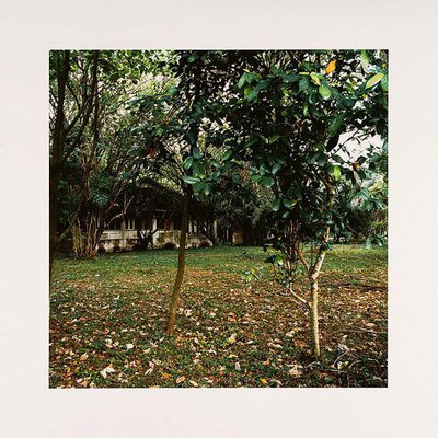 Alternate image of Standing still by Simryn Gill