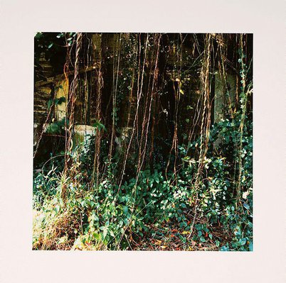 Alternate image of Standing still by Simryn Gill