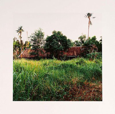 Alternate image of Standing still by Simryn Gill