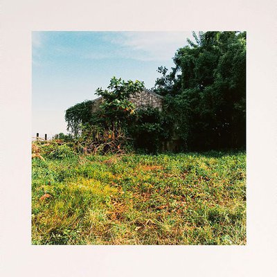 Alternate image of Standing still by Simryn Gill