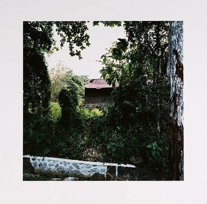 Alternate image of Standing still by Simryn Gill