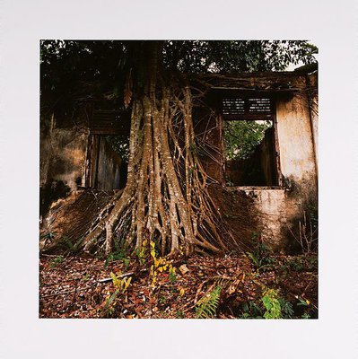 Alternate image of Standing still by Simryn Gill