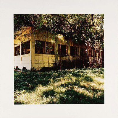 Alternate image of Standing still by Simryn Gill