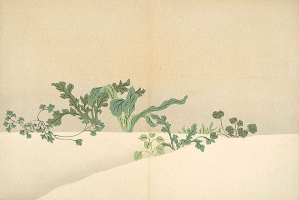 Alternate image of Momoyo-gusa: San by Kamisaka Sekka