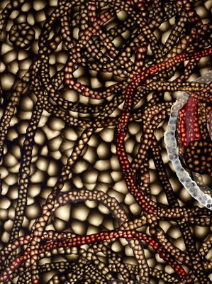Alternate image of Behavior by Ross Bleckner