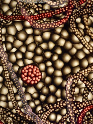 Alternate image of Behavior by Ross Bleckner