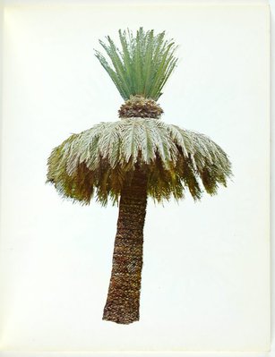 Alternate image of Colored people by Edward Ruscha