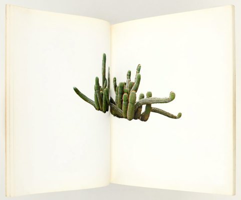 Alternate image of Colored people by Edward Ruscha