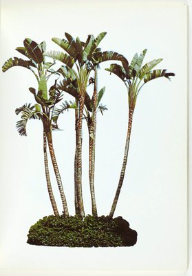 Alternate image of Colored people by Edward Ruscha
