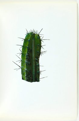 Alternate image of Colored people by Edward Ruscha