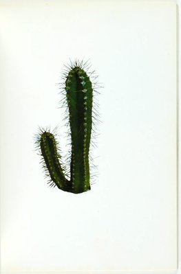 Alternate image of Colored people by Edward Ruscha