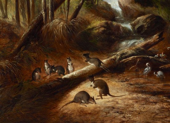 Alternate image of (Bush landscape with waterfall, New South Wales) by John Skinner Prout