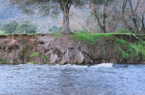 Alternate image of 2. Near Corryong by Bonita Ely