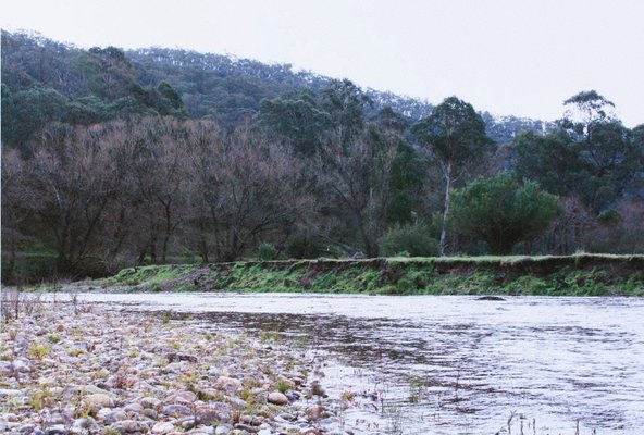 Alternate image of 2. Near Corryong by Bonita Ely