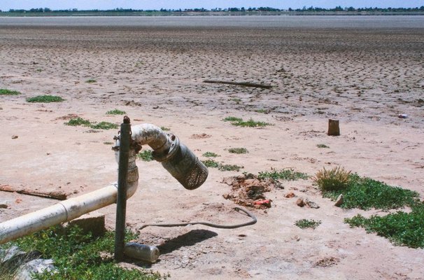 Alternate image of 4. Lake Boga by Bonita Ely