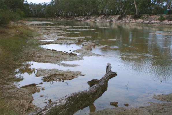 Alternate image of 5. Near the Murrumbidgee Murray junction by Bonita Ely