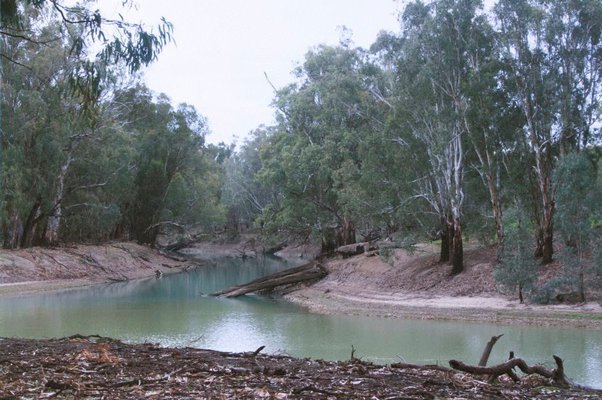 Alternate image of 5. Near the Murrumbidgee Murray junction by Bonita Ely