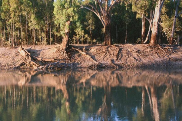 Alternate image of 5. Near the Murrumbidgee Murray junction by Bonita Ely