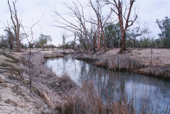 Alternate image of 7. Bottle Bend near Mildura by Bonita Ely