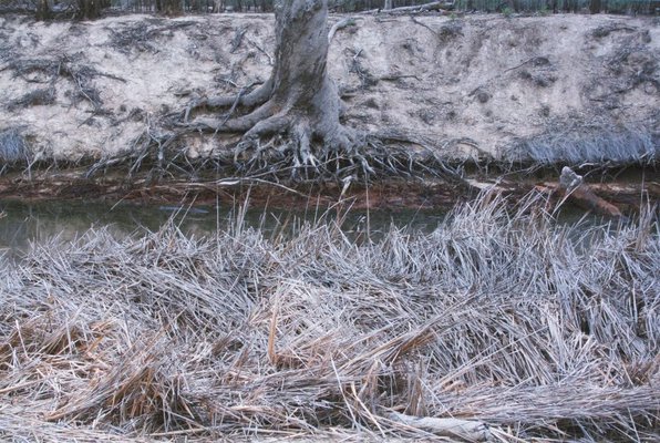 Alternate image of 7. Bottle Bend near Mildura by Bonita Ely