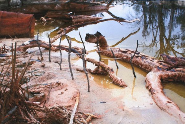 Alternate image of 7. Bottle Bend near Mildura by Bonita Ely