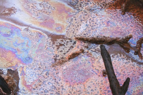 Alternate image of 7. Bottle Bend near Mildura by Bonita Ely